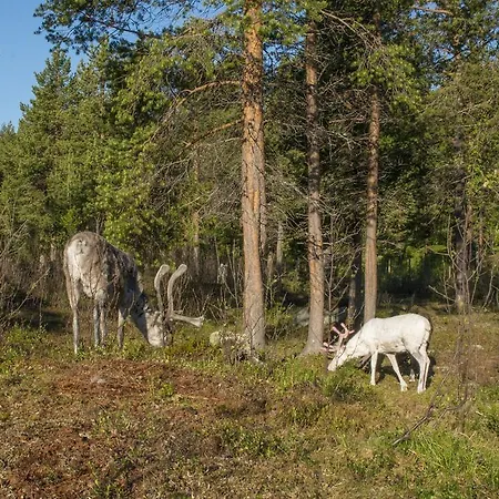 Ongajoksetra