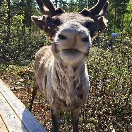 Ongajoksetra